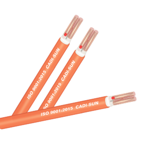 Cáp chậm cháy FSN-CXV 2X