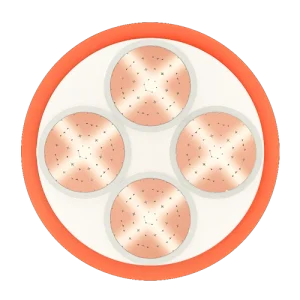 Cáp chậm cháy FSN-CXV 4X