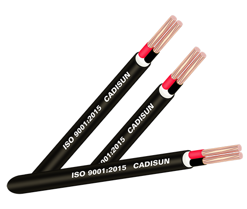 Cáp đồng 2 ruột, bọc cách điện PVC, vỏ bọc PVC - CVV 2x Cáp đồng 2 ruột, bọc cách điện PVC, vỏ bọc PVC - CVV 2x