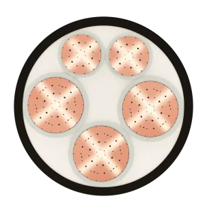 Cáp đồng 5 ruột, bọc cách điện XLPE