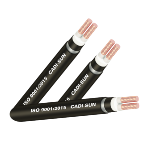 Cáp đồng ngầm 2 ruột - DSTA 2x-1