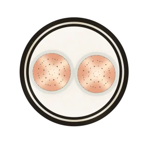 Cáp đồng ngầm 2 ruột - DSTA 2x