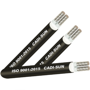 Cáp nhôm 2 ruột, cách điện XLPE, vỏ bọc PVC - AXV2x-1
